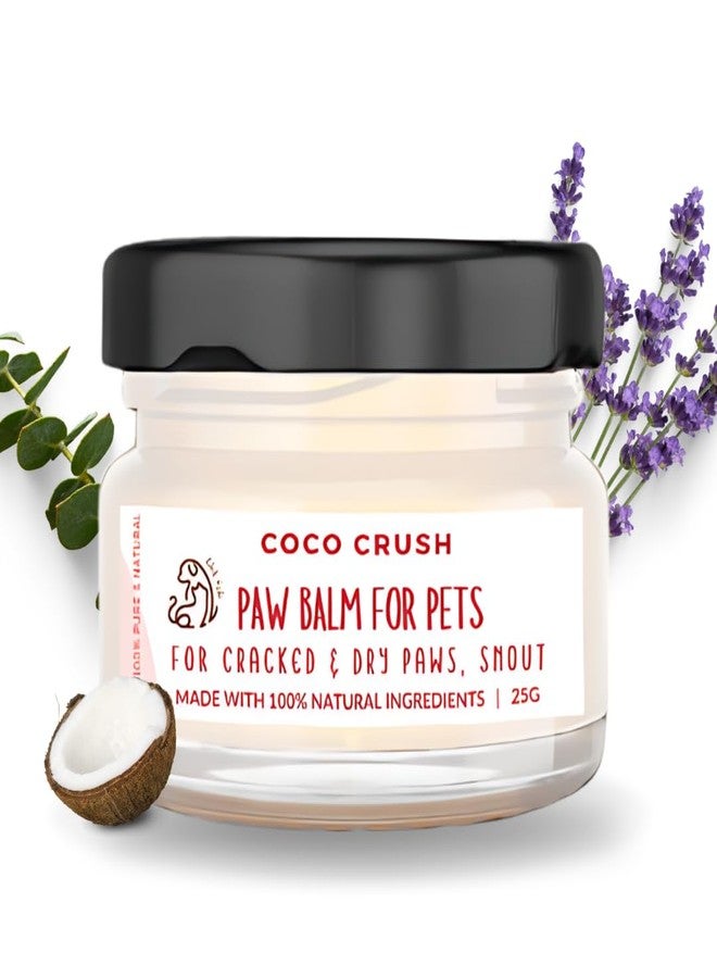 Coco Crush Paw Balm for Pets - Natural Care for Cracked and Dry Paws and Snout | 100% Natural and Organic Ingredients, Ingestion Safe | for Dogs, Cats, Puppies, Kittens | Heals & Repairs Gently (25G) - Image 1